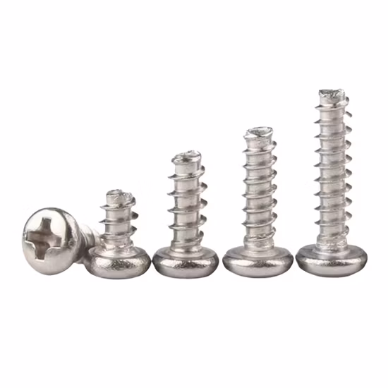 M1.2 M1.4 M1.7 M2 M2.3 Micro tête cylindrique croisée vis autotaraudeuse à extrémité plate pour appareil photo en plastique électronique téléphone montre cadre de lunettes